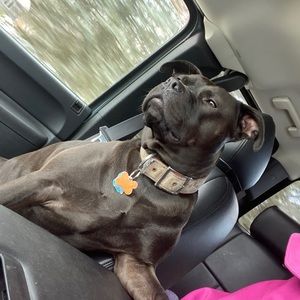 Meet your Posher, Chelsea